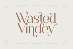 Wasted Vindey - Classy Serif Font