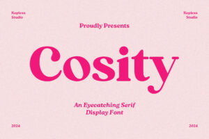 Cosity - Display Serif Font